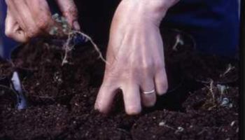 【think about】  “PFAS”ピーィファス編