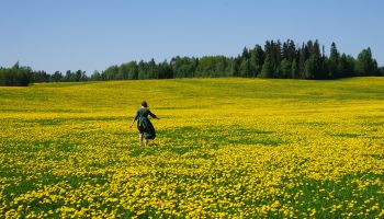 伊勢丹ビューティアポセカリー＜フランシラ＞ 人気ベスト5