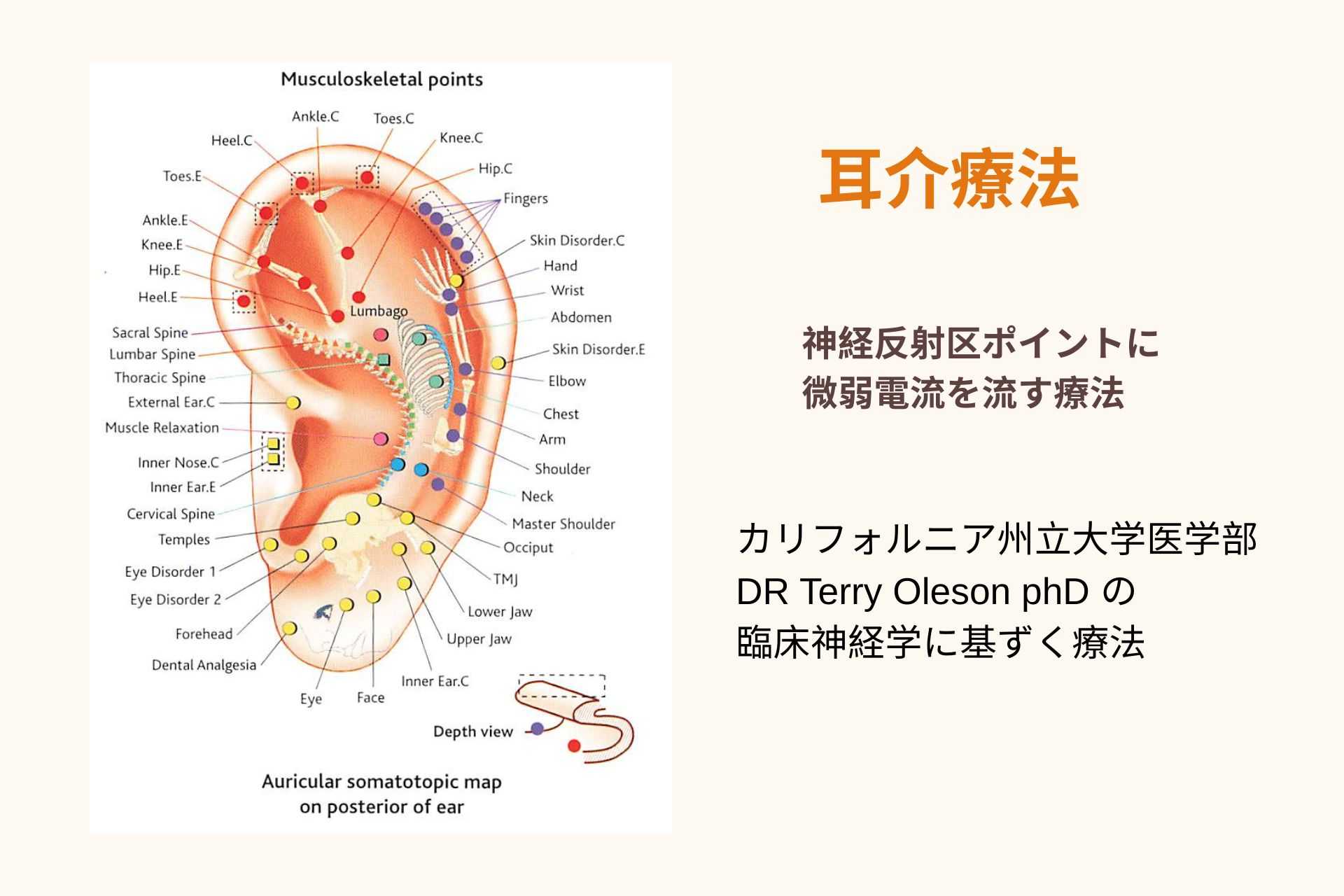 耳介療法（電気療法）｜フランシラ治療院＆サロン