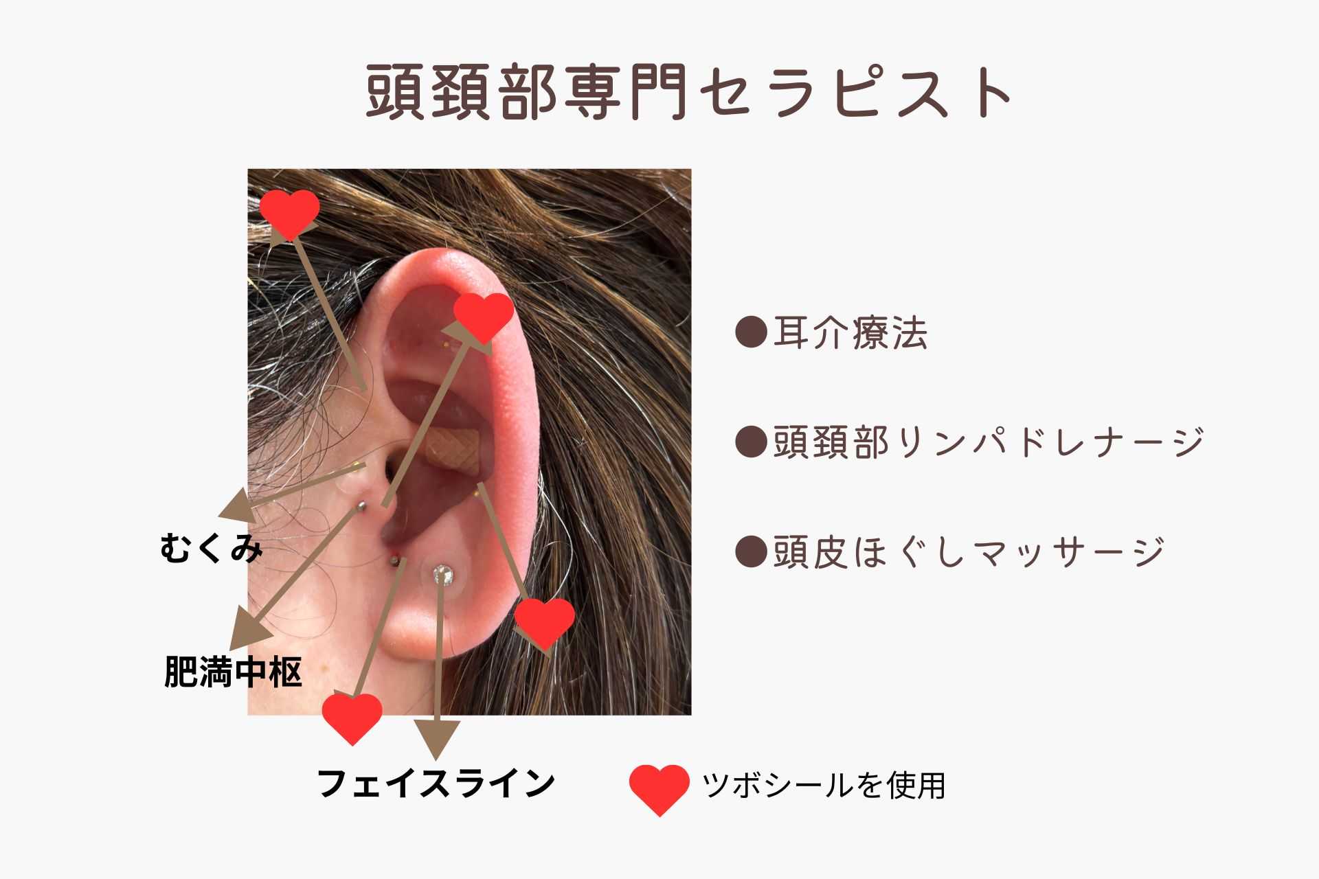 温熱耳介療法士コース