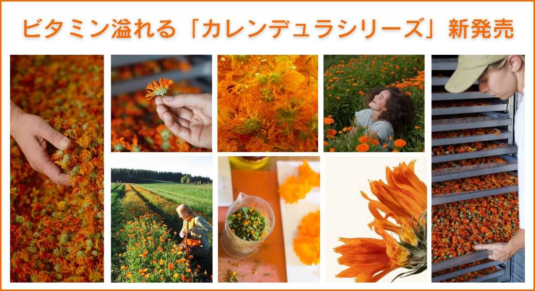 ビタミン溢れる「カレンデュラシリーズ」フルーティな香りの美容液